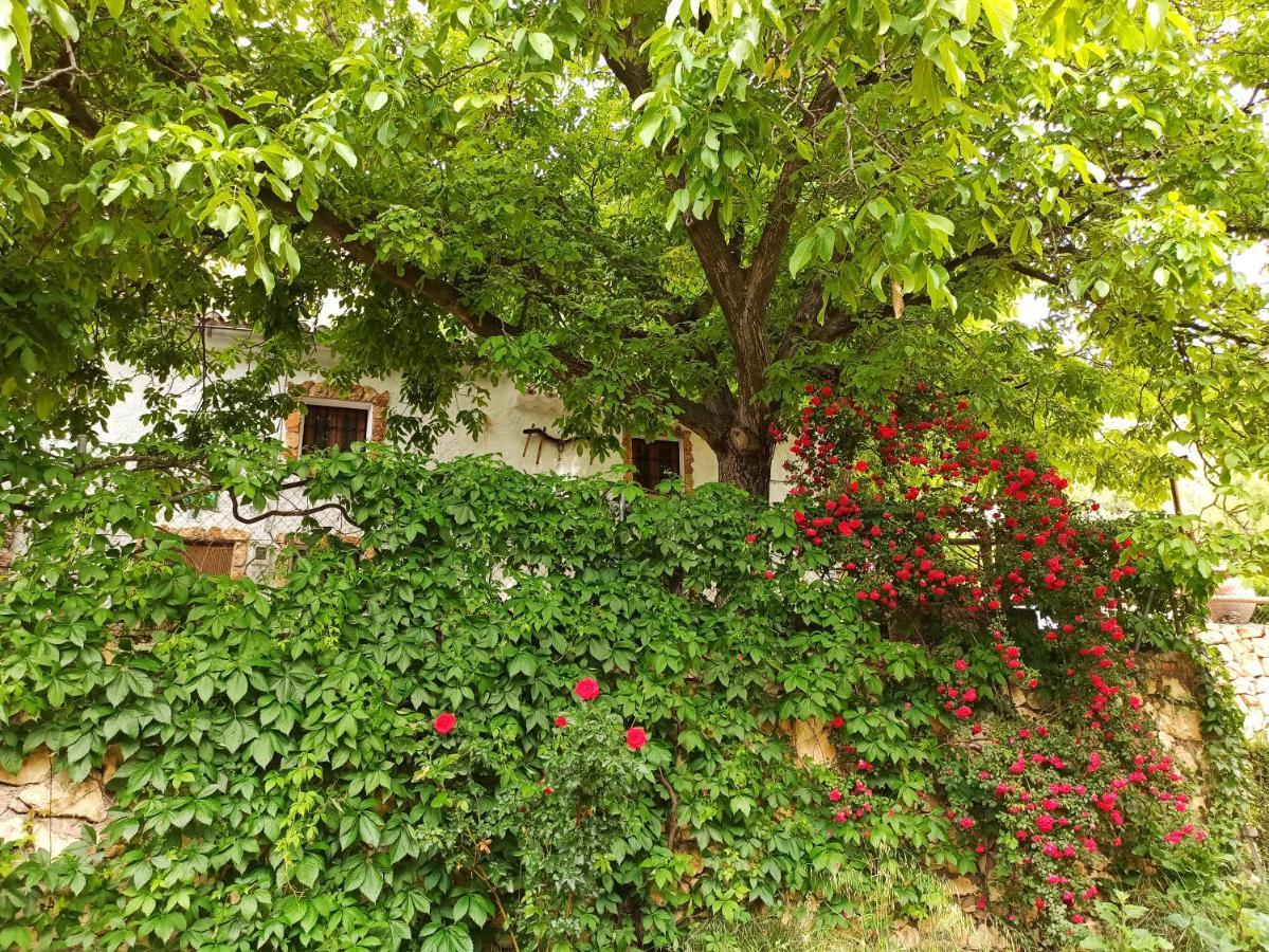 Affittacamere Cortijo Ramon Petra Nerpio Esterno foto